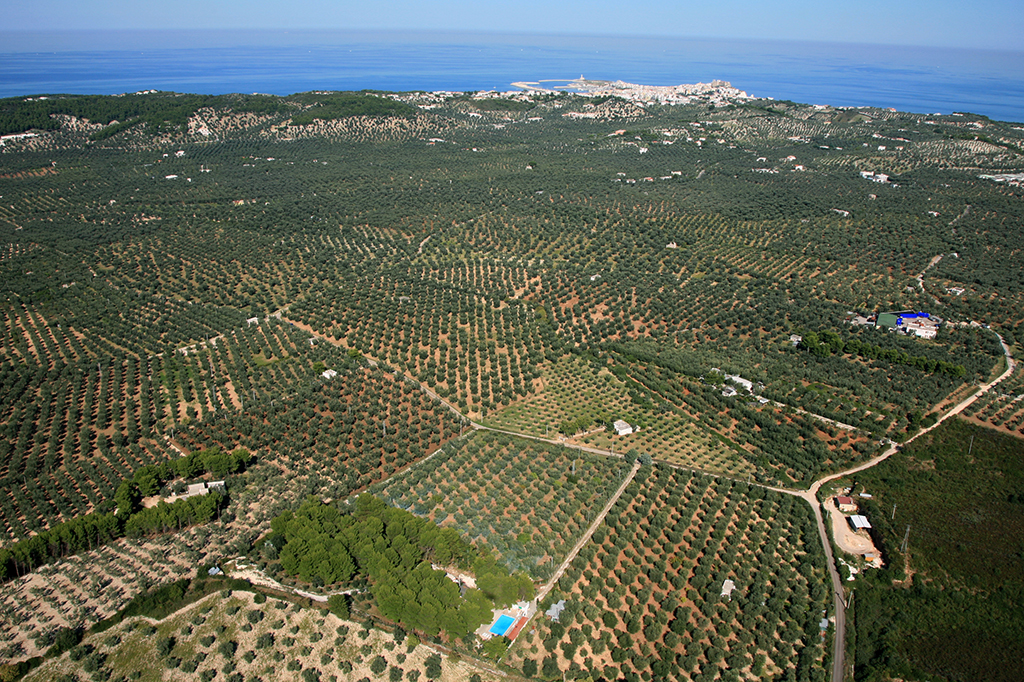Vista-Aerea-Residence-San-Luca-Vieste-foto